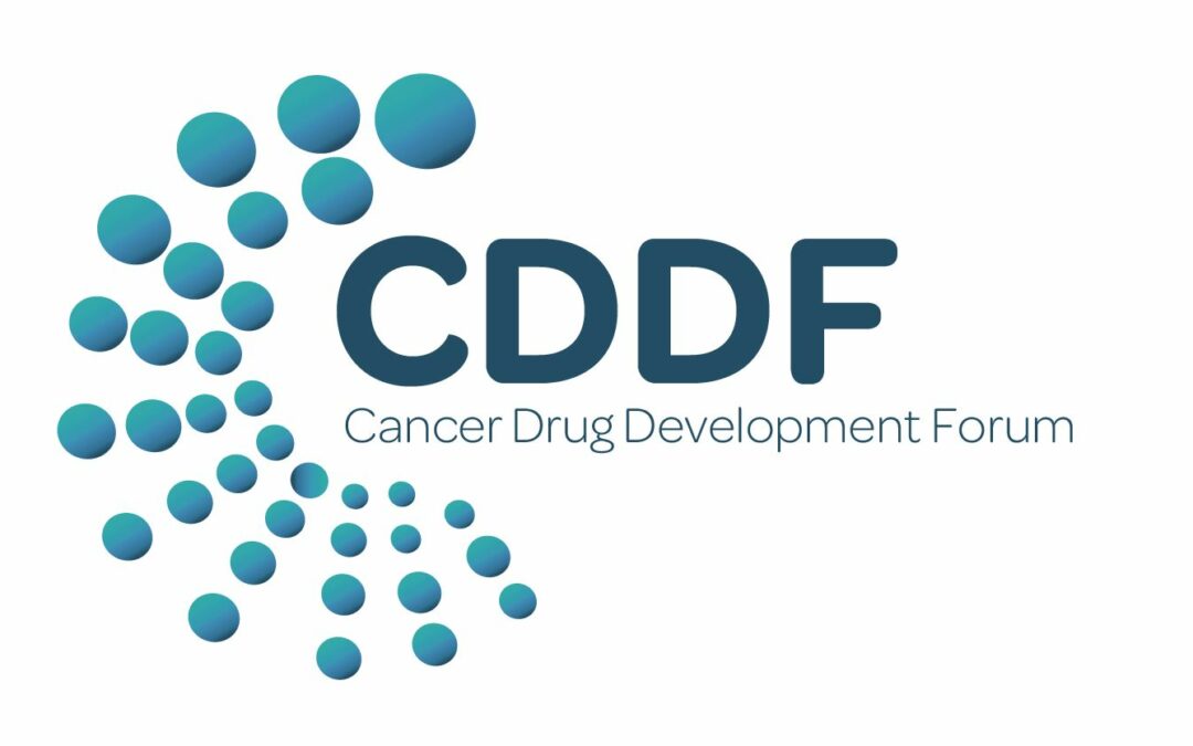 CDDF: Announcement of Newly Elected Leadership